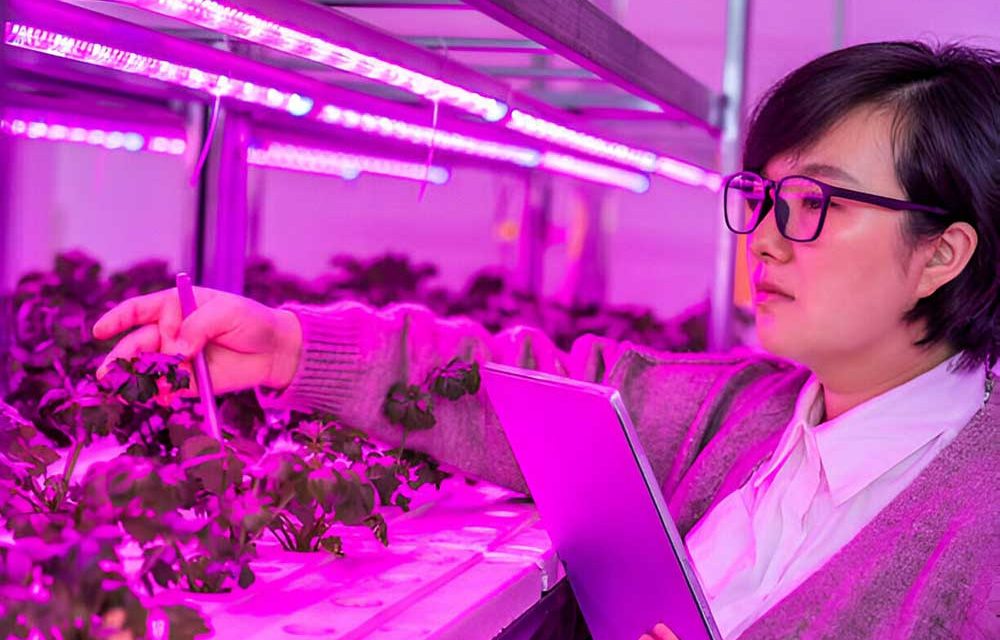 Horticulture-(red-Light)